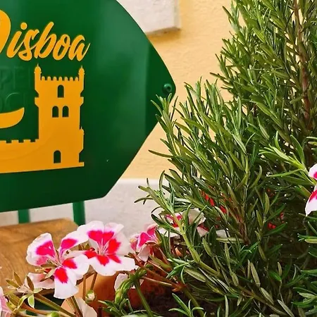 Apartmán Mouraria Soul T3 - 6pax *