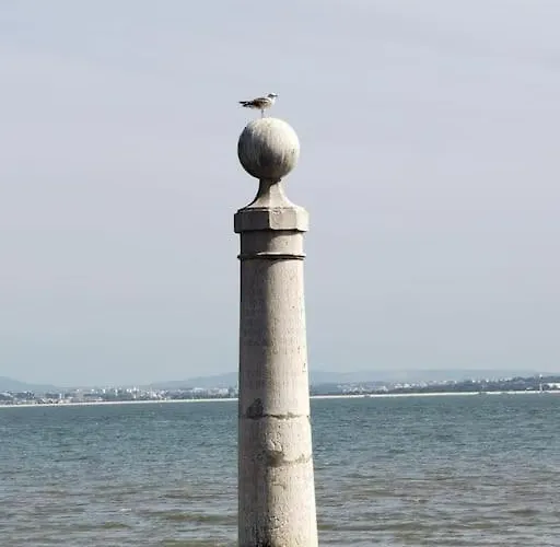 Апартаменты Mouraria Soul T3 - 6pax