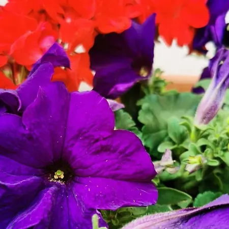 Mouraria Soul T3 - 6pax Апартаменты *