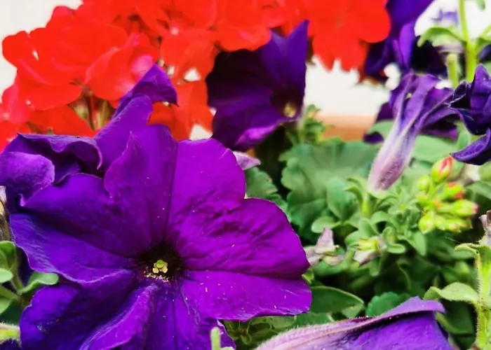 Mouraria Soul T3 - 6pax Апартаменты *